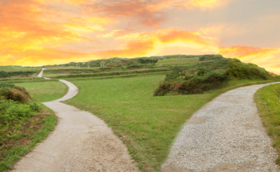 Life transitions and changes with counselling support