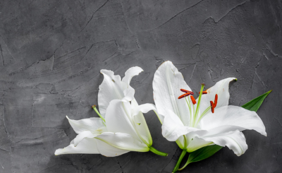 Grief and Loss counselling